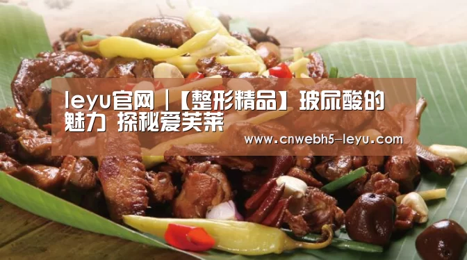 leyu官网 |【整形精品】玻尿酸的魅力 探秘爱芙莱(图2) 乐鱼官方首页