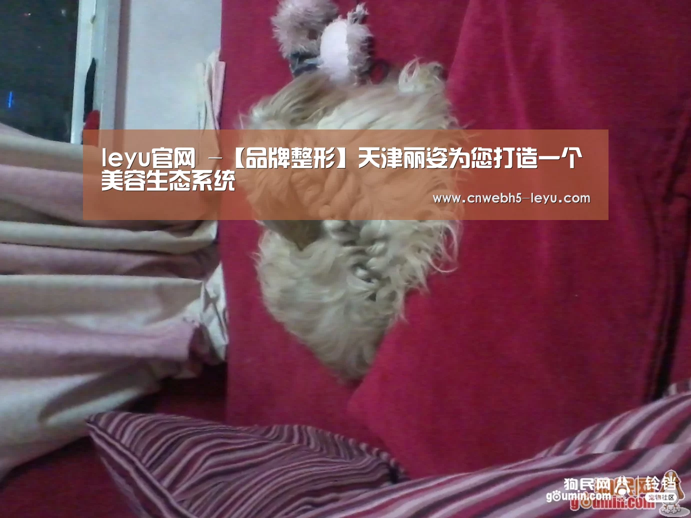  登录入口