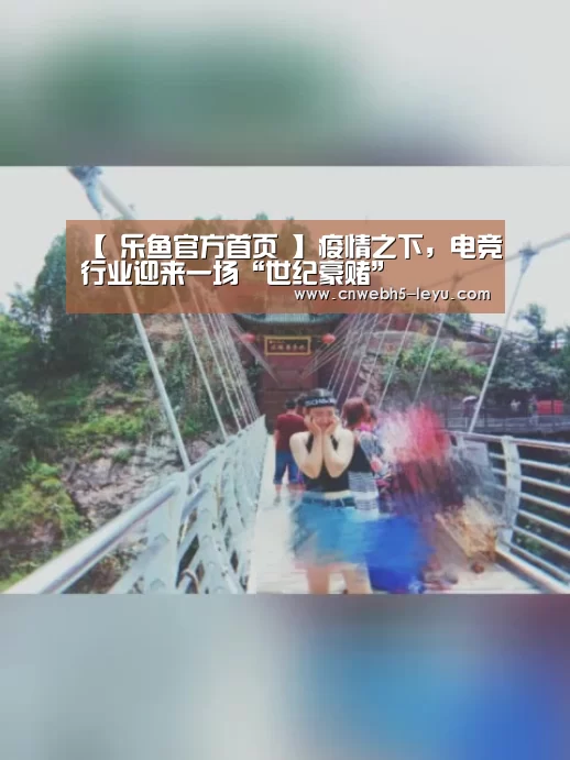  登录入口