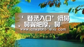  登录入口
