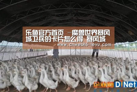 乐鱼官方首页 -魔兽世界暴风城卫兵的卡片怎么得 暴风城卫兵的卡片获取方式(图1) 乐鱼官方首页