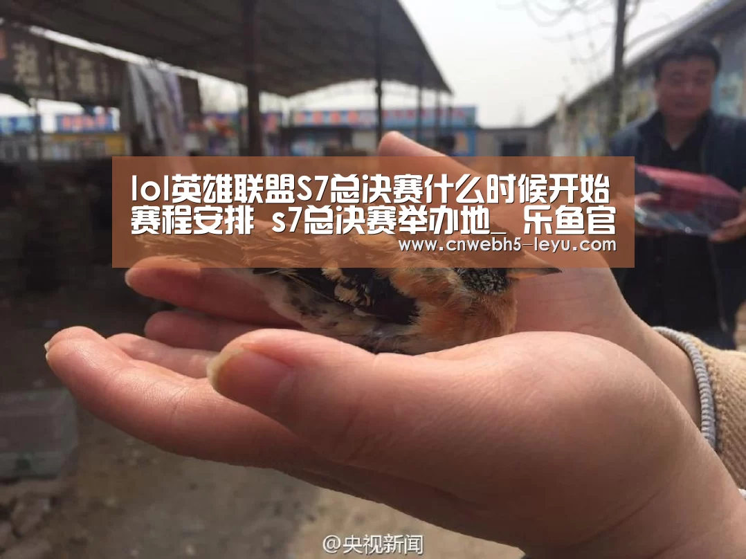 lol英雄联盟S7总决赛什么时候开始赛程安排 s7总决赛举办地_ 乐鱼官方首页 (图2) 乐鱼官方首页