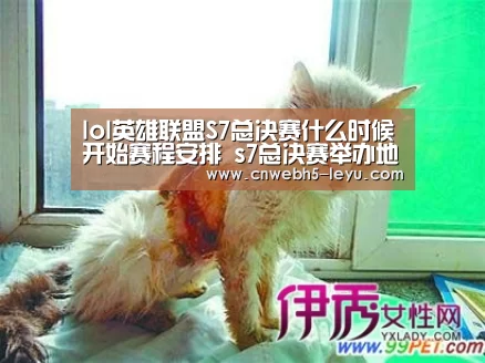 lol英雄联盟S7总决赛什么时候开始赛程安排 s7总决赛举办地_ 乐鱼官方首页 (图3) leyu官网
