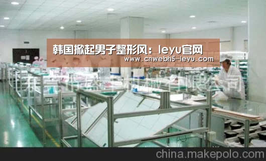 韩国掀起男子整形风:leyu官网 (图4) leyu官网