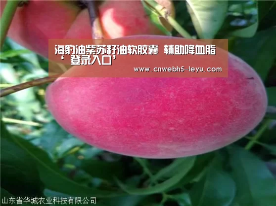 海豹油紫苏籽油软胶囊 辅助降血脂‘ 登录入口’(图1) leyu官网