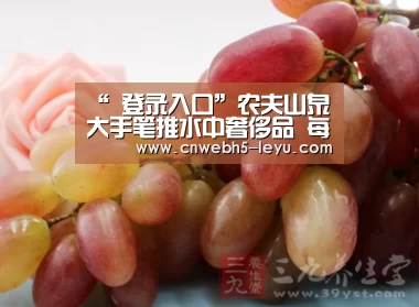  登录入口