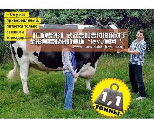  登录入口