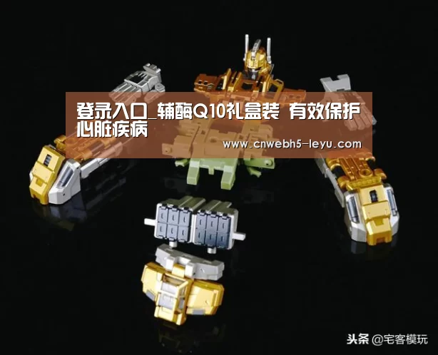 登录入口_辅酶Q10礼盒装 有效保护心脏疾病(图1) leyu官网