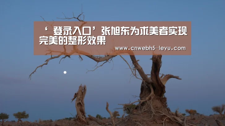  登录入口