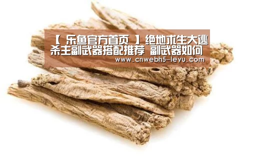 【 乐鱼官方首页 】绝地求生大逃杀主副武器搭配推荐 副武器如何搭配(图1) 乐鱼官方首页