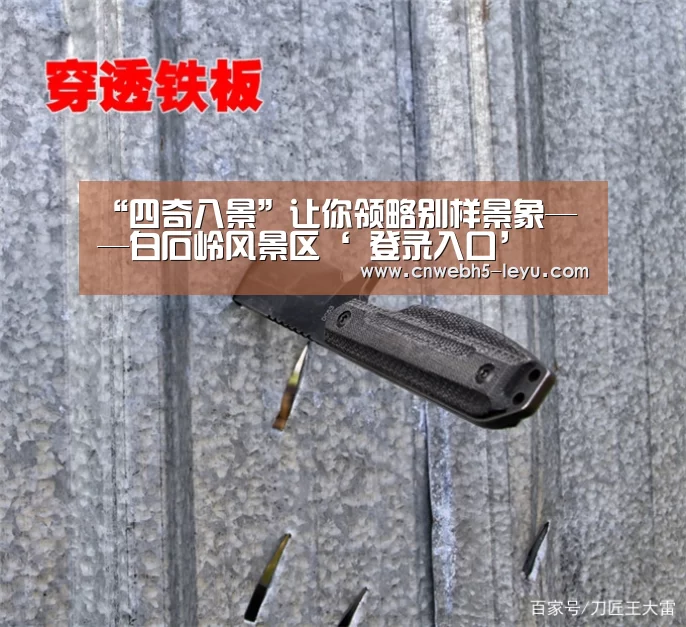 “四奇八景”让你领略别样景象——白石岭风景区‘ 登录入口’(图2) 登录入口